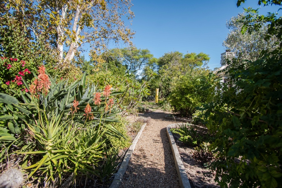 4 Bedroom Property for Sale in Roundhay Western Cape